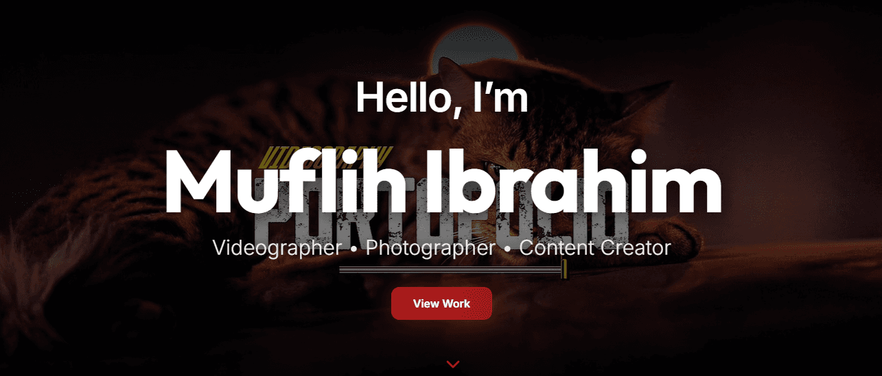 Portfolio [Freelance]